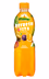 Pfanner PET 0,5L